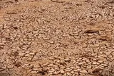 Khả năng xuất hiện El Nino rất mạnh, kéo sang 2027, nguy cơ thiếu hụt nguồn nước từ đầu mùa