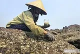 Đục đá "hái tiền" - Nghề độc lạ ở Nghệ An