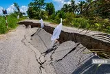 Sạt lở lan rộng tại Đồng Tháp Mười, nhiều người dân sống trong thấp thỏm