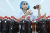 Đầu tư vào tiêu chuẩn - từ yêu cầu thị trường đến lợi thế cạnh tranh dài hạn của doanh nghiệp