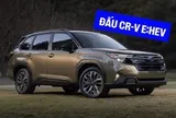Subaru Forester hybrid nhận cọc tại Việt Nam: Dự kiến ra mắt tháng 10/2026, giá khoảng 1,5 tỷ đồng