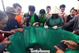 Đà Nẵng: Du khách kéo nhau 'đột nhập' chợ cá lúc rạng sáng