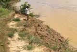 Sông Thạch Hãn sạt lở nghiêm trọng, người dân thấp thỏm lo mất đất, mất nhà