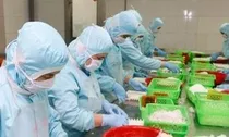Doanh nghiệp xuất khẩu tôm 'cầu cứu'