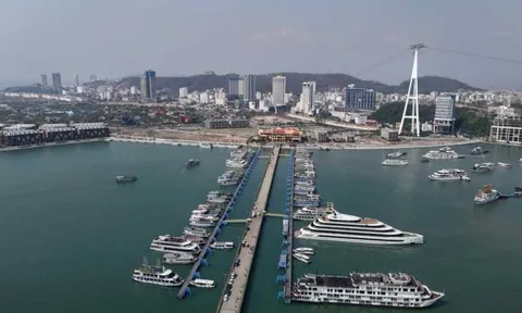 Quảng Ninh vừa ghi nhận chuyện lần đầu tiên xuất hiện trong lịch sử