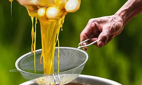 Đặc sản đắt nhất thế giới 40 triệu/kg, Việt Nam có loại thiên nhiên nguyên bản, thơm ngọt chẳng kém cạnh