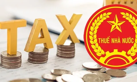 Hộ kinh doanh chú ý: Đây là mức thuế áp dụng từ ngày 1/1/2026