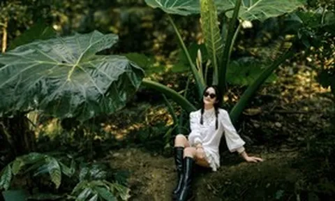 Du khách hóa “người tí hon” giữa rừng Cúc Phương