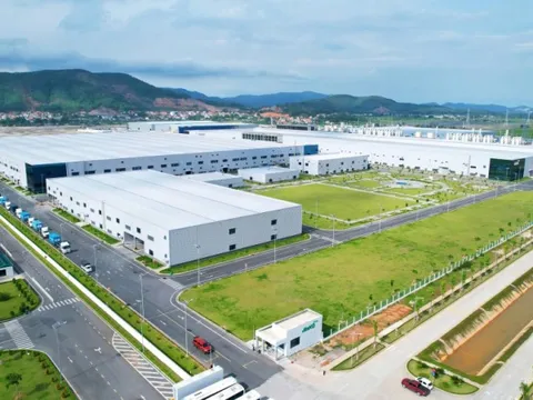 Quảng Ninh lập Đề án Khu kinh tế số và tri thức tự do quy mô hơn 26.000 ha