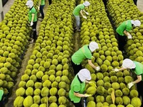 Nhiều tín hiệu tích cực với xuất khẩu Việt Nam giữa biến động Trung Đông