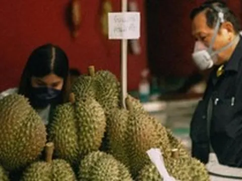 Đối thủ lớn nhất của sầu riêng Việt Nam đón tin buồn từ Trung Quốc và Campuchia