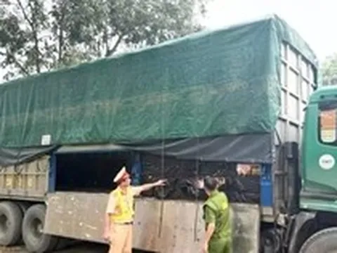 Phát hiện hơn 5 tấn lạp xưởng không rõ nguồn gốc chuẩn bị đưa về Hà Nội