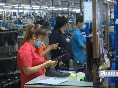 1,6 triệu thanh niên Việt Nam rơi vào nhóm "3 không" trong quý III/2026